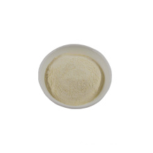 Chinese Dehydrated Garlic Powder